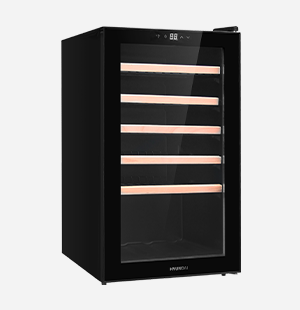 Wine Cooler HY-CAV91BS-001